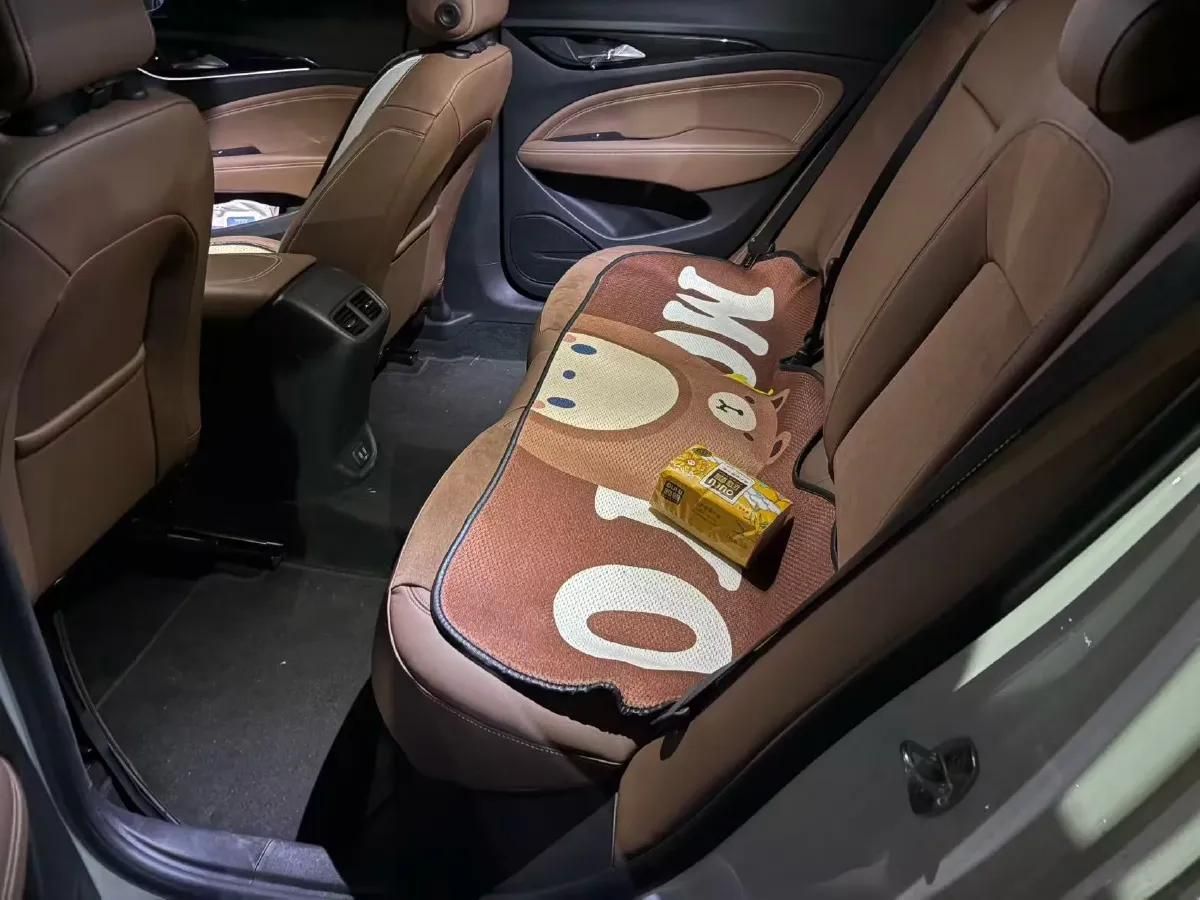 2019 Buick Regal 1.5T 170HP L4 9AT,autocango,china used car exporter,china ev exporter,chinese used car exporter,chinese used ev exporter