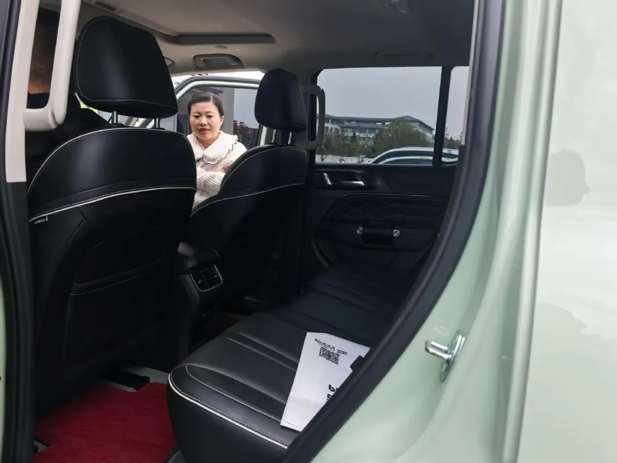 2023 Tank 300 2.0T 227HP L4 8AT,autocango,china used car exporter,china ev exporter,chinese used car exporter,chinese used ev exporter