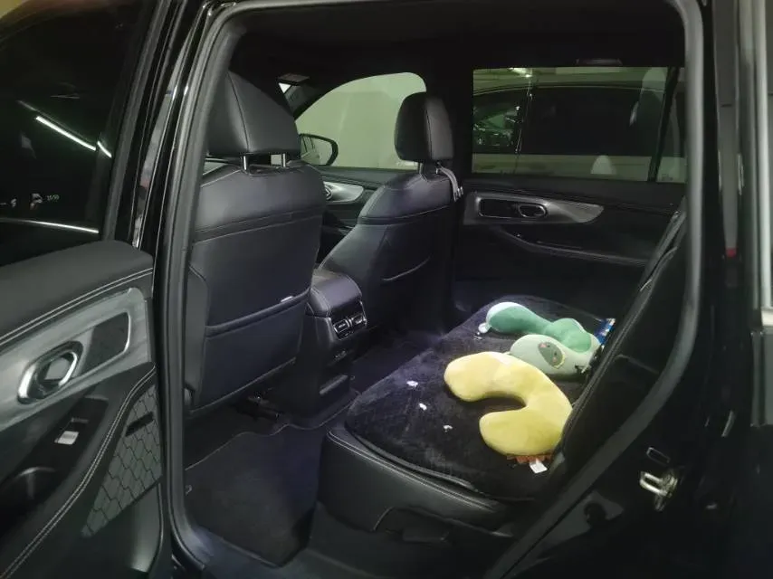 2025 GAC Trumpchi GS8 2.0T 252HP L4 8AT,autocango,china used car exporter,china ev exporter,chinese used car exporter,chinese used ev exporter