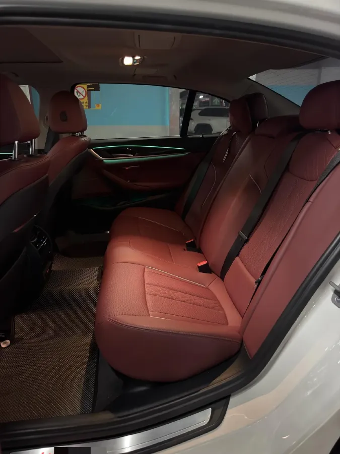 2021 BMW 5 Series 2.0T 184HP L4 8AT,autocango,china used car exporter,china ev exporter,chinese used car exporter,chinese used ev exporter