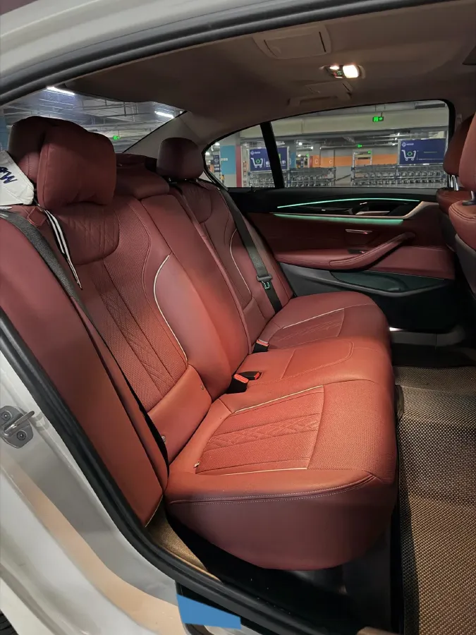 2021 BMW 5 Series 2.0T 184HP L4 8AT,autocango,china used car exporter,china ev exporter,chinese used car exporter,chinese used ev exporter