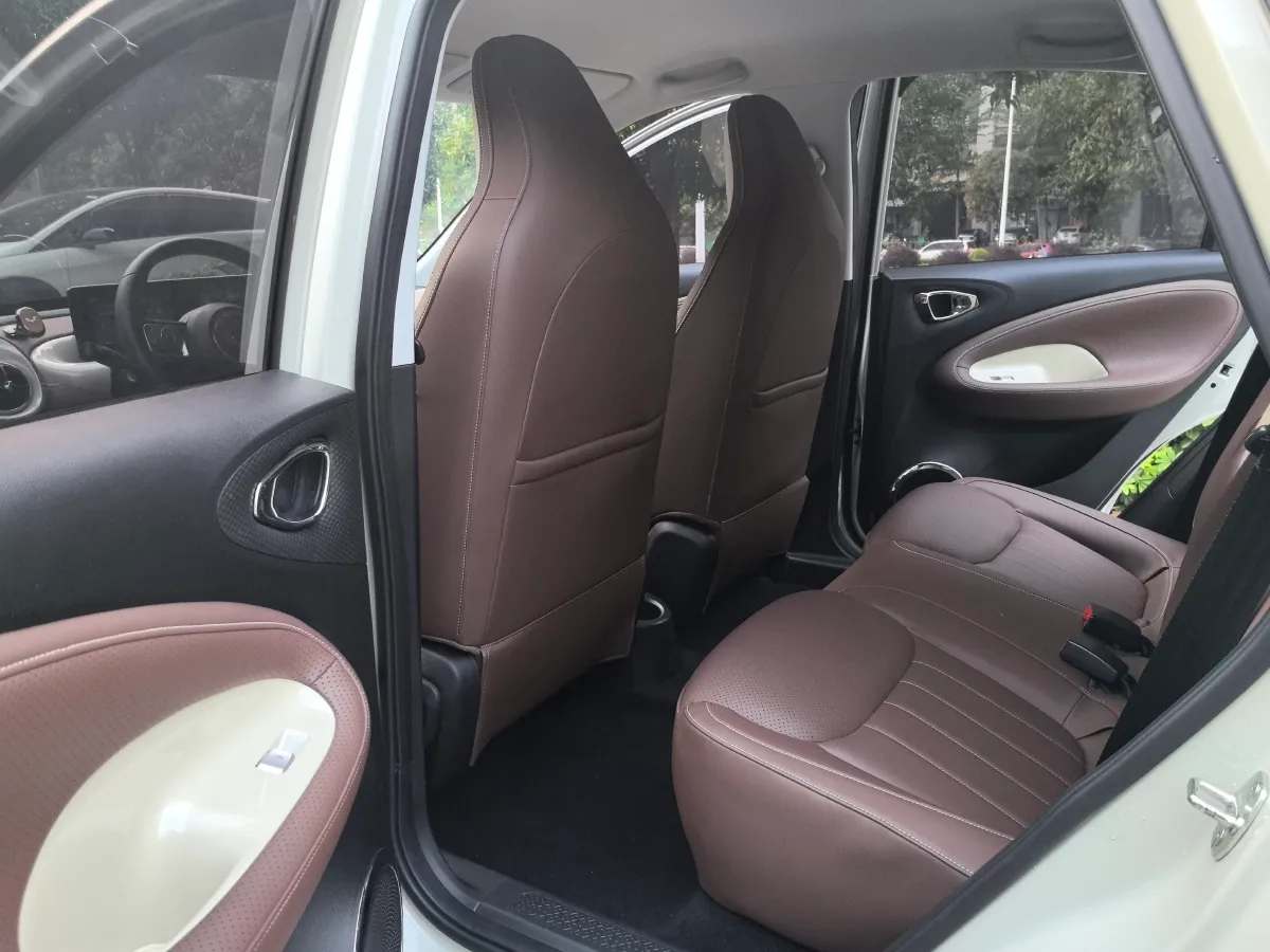 2023 WuLing BinGuo BEV 31.9KWH,autocango,china used car exporter,china ev exporter,chinese used car exporter,chinese used ev exporter