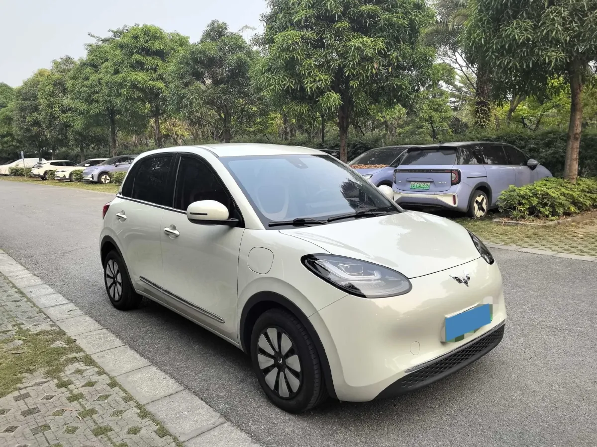 2023 WuLing BinGuo BEV 31.9KWH,autocango,china used car exporter,china ev exporter,chinese used car exporter,chinese used ev exporter