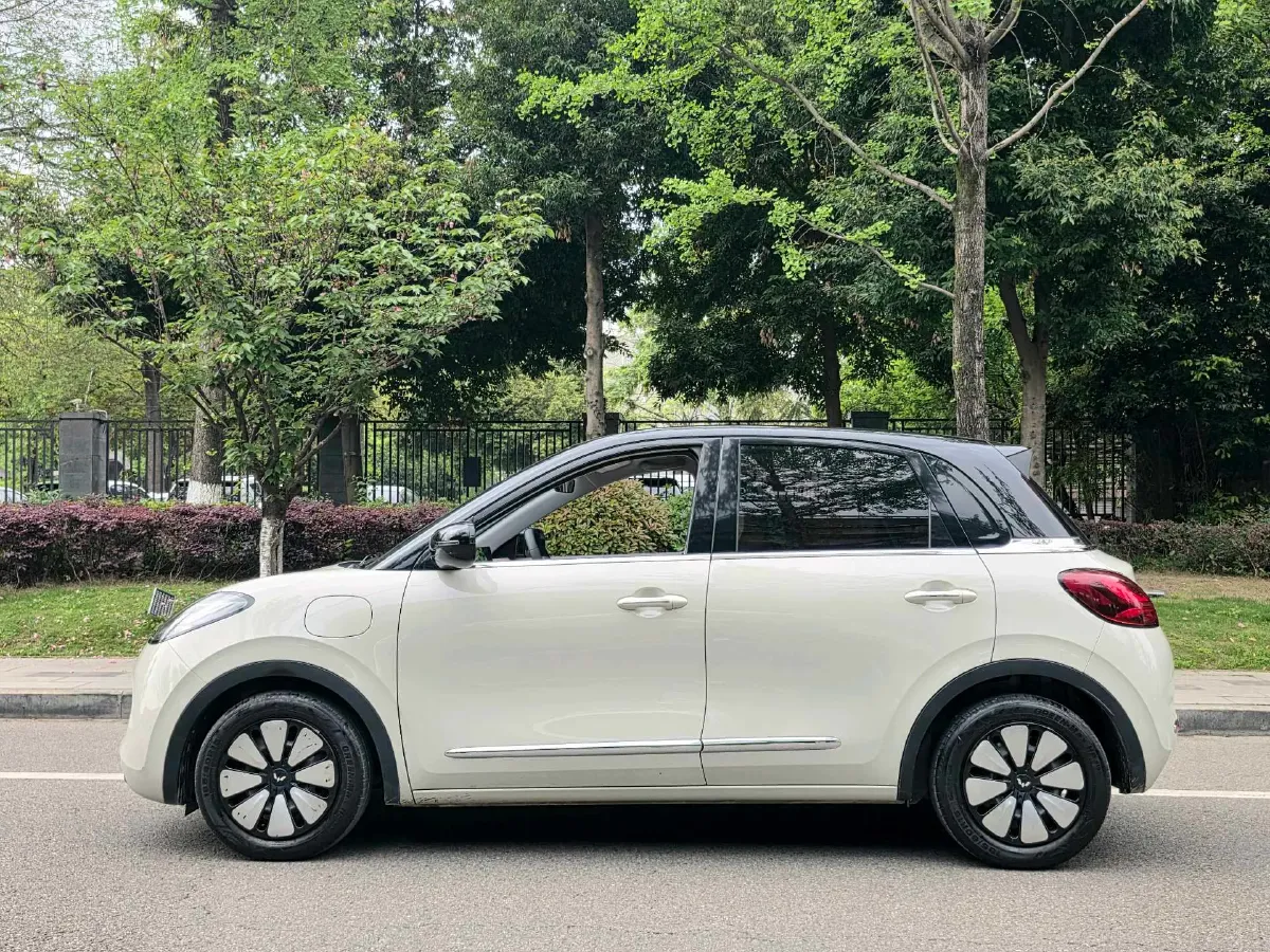 2023 WuLing BinGuo BEV 31.9KWH,autocango,china used car exporter,china ev exporter,chinese used car exporter,chinese used ev exporter