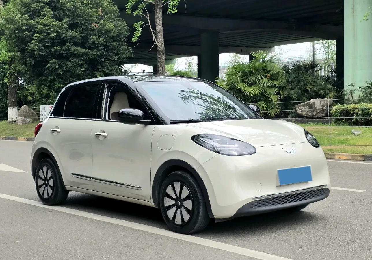 2023 WuLing BinGuo BEV 31.9KWH,autocango,china used car exporter,china ev exporter,chinese used car exporter,chinese used ev exporter