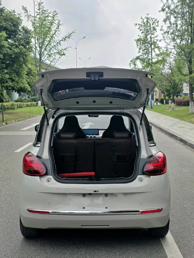 2023 WuLing BinGuo BEV 31.9KWH,autocango,china used car exporter,china ev exporter,chinese used car exporter,chinese used ev exporter