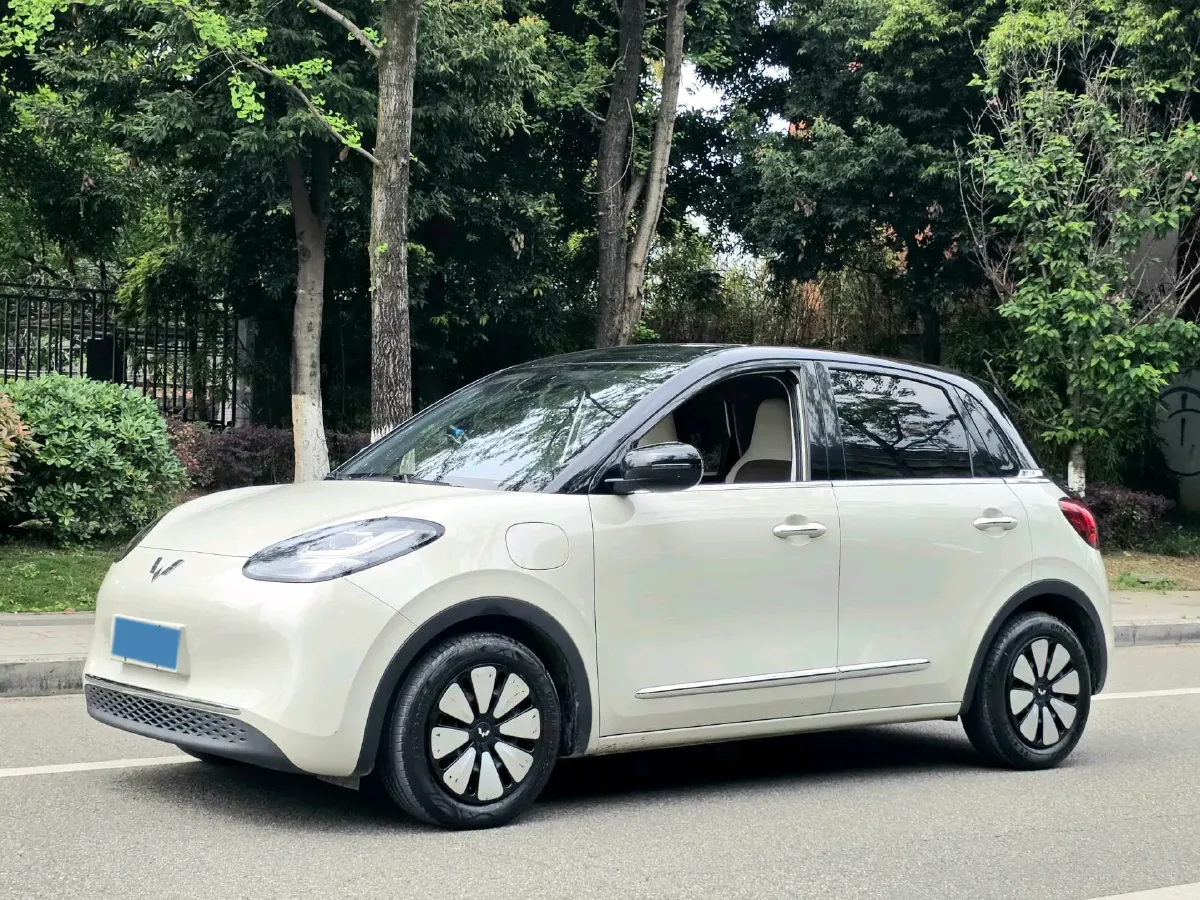 2023 WuLing BinGuo BEV 31.9KWH,autocango,china used car exporter,china ev exporter,chinese used car exporter,chinese used ev exporter