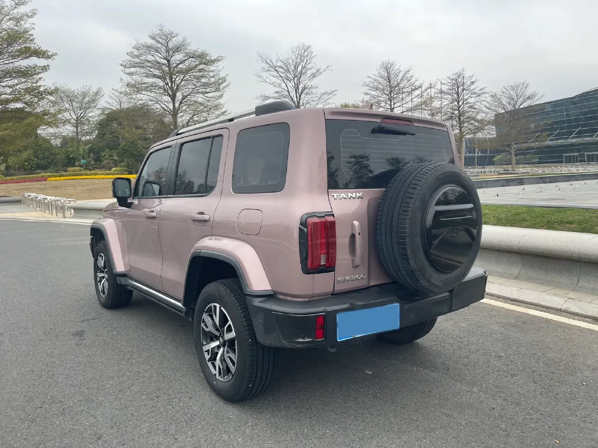 2023 Tank 300 2.0T 227HP L4 8AT,autocango,china used car exporter,china ev exporter,chinese used car exporter,chinese used ev exporter