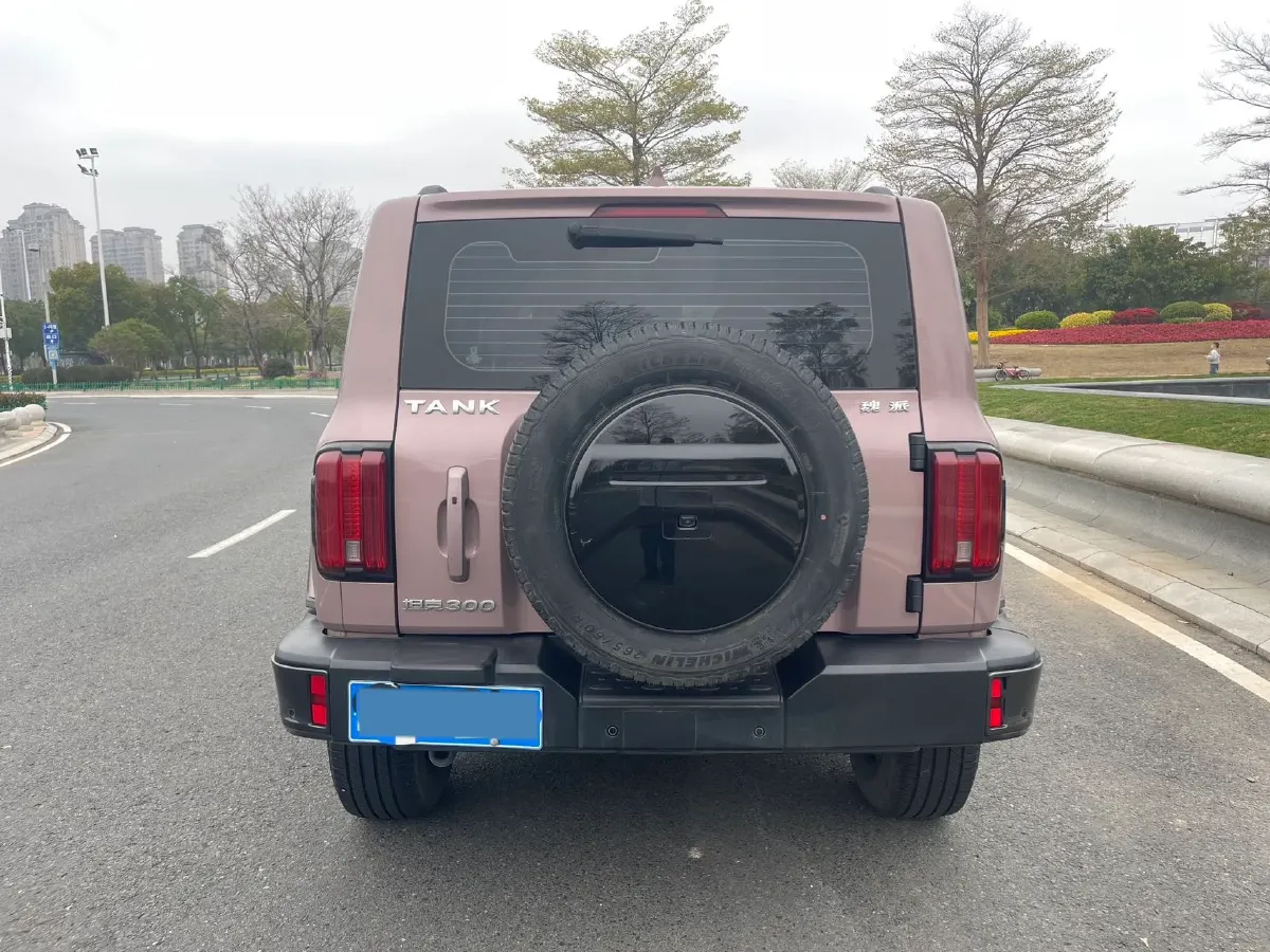 2023 Tank 300 2.0T 227HP L4 8AT,autocango,china used car exporter,china ev exporter,chinese used car exporter,chinese used ev exporter