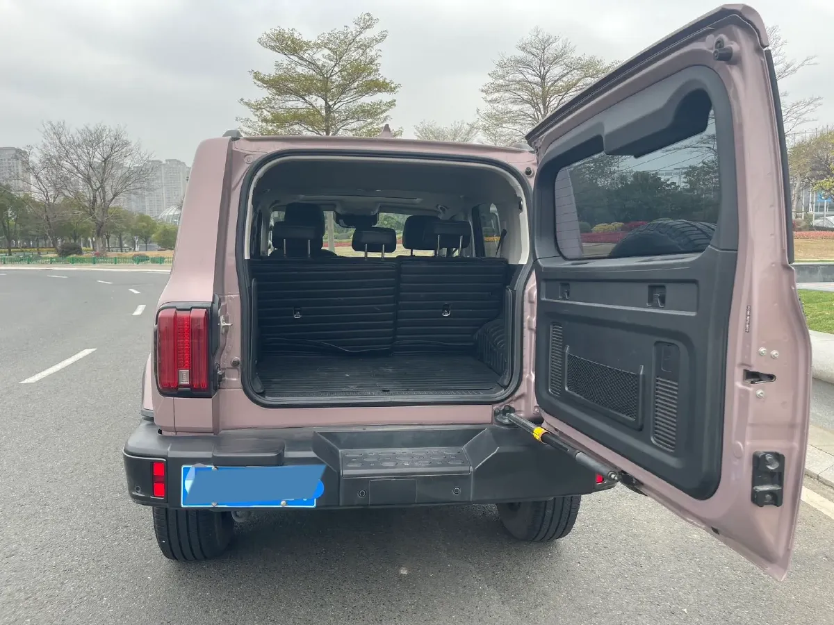 2023 Tank 300 2.0T 227HP L4 8AT,autocango,china used car exporter,china ev exporter,chinese used car exporter,chinese used ev exporter