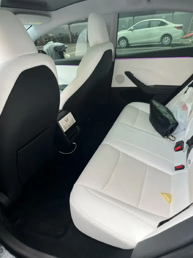 2025 Tesla Model 3 BEV 62.5KWH,autocango,china used car exporter,china ev exporter,chinese used car exporter,chinese used ev exporter