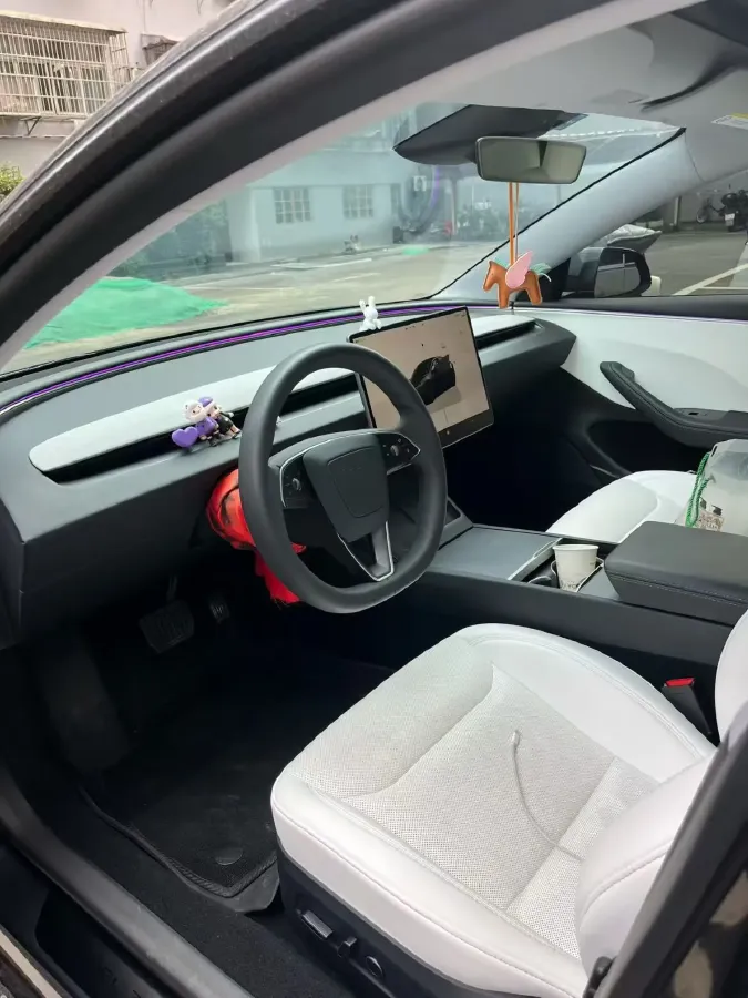 2025 Tesla Model 3 BEV 62.5KWH,autocango,china used car exporter,china ev exporter,chinese used car exporter,chinese used ev exporter