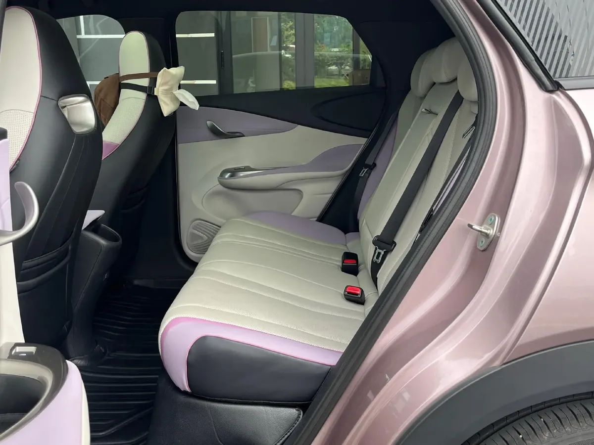 2024 BYD Dolphin BEV 44.928KWH,autocango,china used car exporter,china ev exporter,chinese used car exporter,chinese used ev exporter