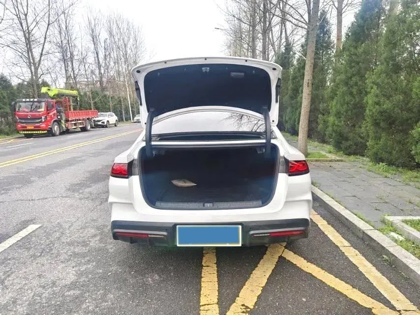 2024 BYD QinL 1.5L 101HP L4 E-CVT PHEV 10.08KWH,autocango,china used car exporter,china ev exporter,chinese used car exporter,chinese used ev exporter