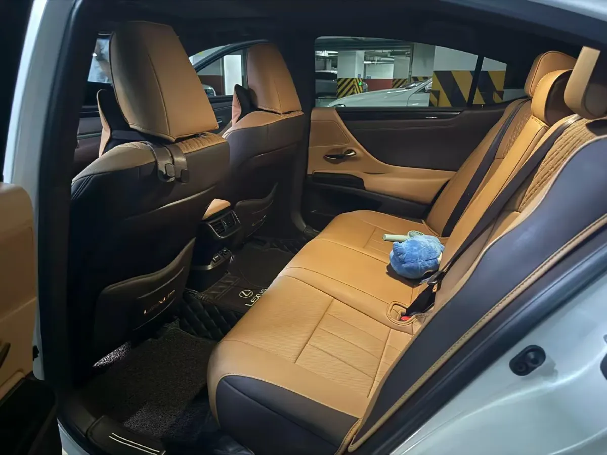 2020 Lexus ES 2.0L 173HP L4 CVT,autocango,china used car exporter,china ev exporter,chinese used car exporter,chinese used ev exporter