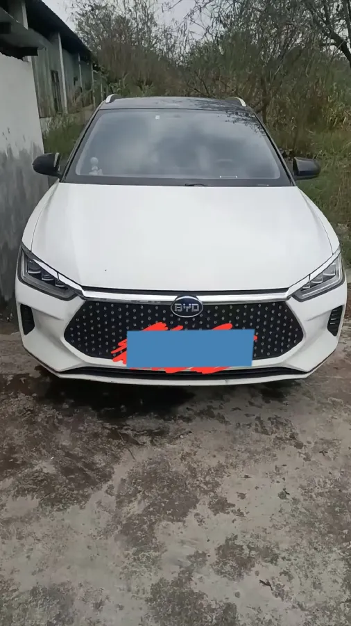 2019 BYD e2 BEV 47.3KWH,autocango,china used car exporter,china ev exporter,chinese used car exporter,chinese used ev exporter