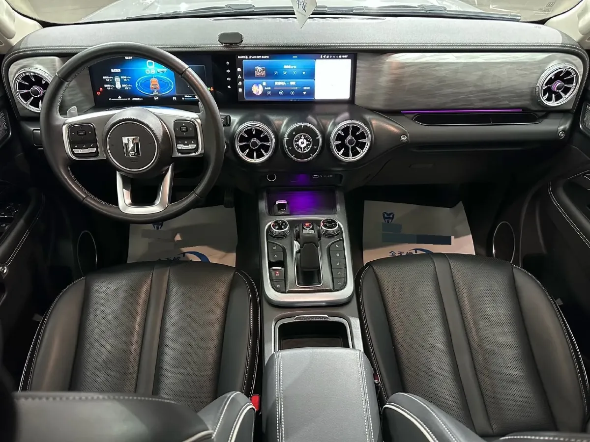 2021 Tank 300 2.0T 227HP L4 8AT,autocango,china used car exporter,china ev exporter,chinese used car exporter,chinese used ev exporter