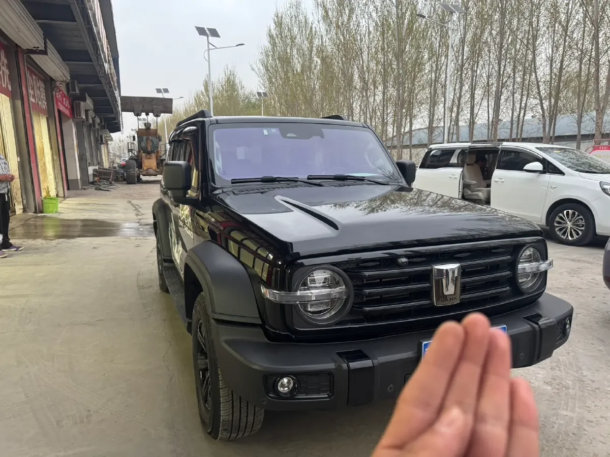2023 Tank 300 2.0T 227HP L4 8AT,autocango,china used car exporter,china ev exporter,chinese used car exporter,chinese used ev exporter