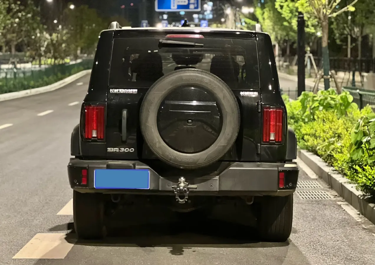 2023 Tank 300 2.0T 227HP L4 8AT,autocango,china used car exporter,china ev exporter,chinese used car exporter,chinese used ev exporter