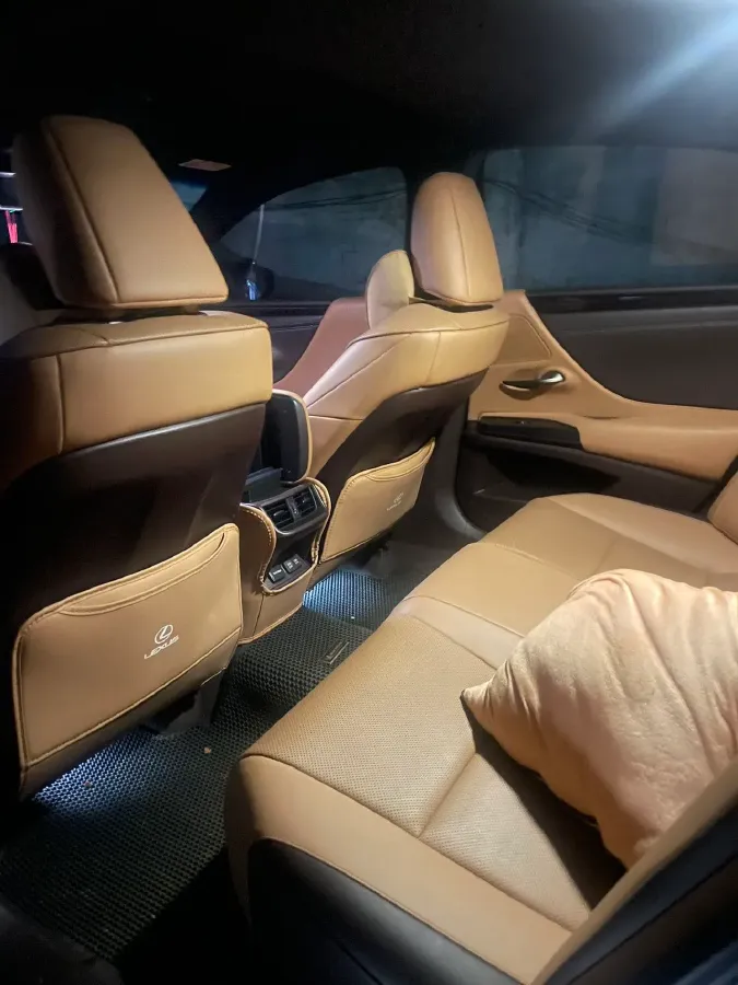 2020 Lexus ES 2.0L 173HP L4 CVT,autocango,china used car exporter,china ev exporter,chinese used car exporter,chinese used ev exporter