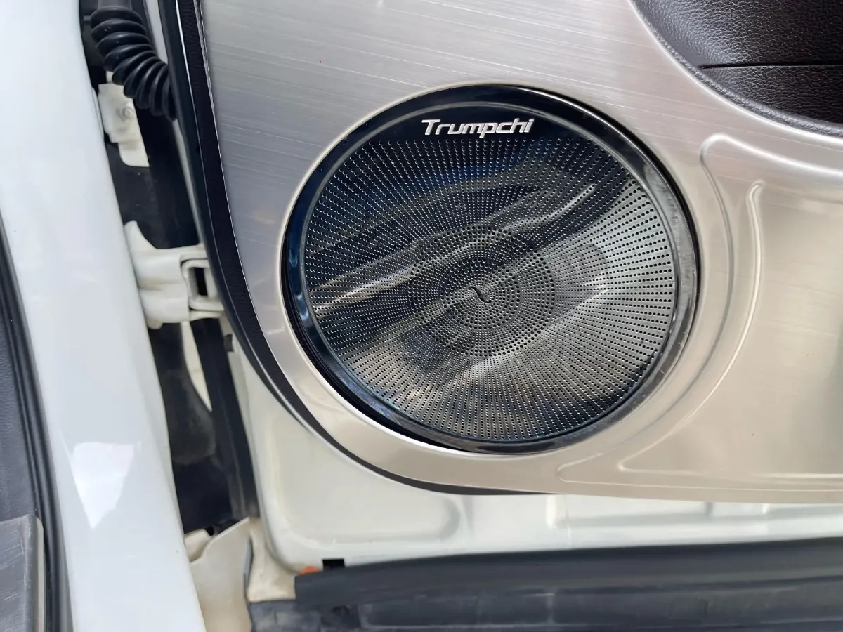 2021 GAC Trumpchi M8 2.0T 252HP L4 8AT,autocango,china used car exporter,china ev exporter,chinese used car exporter,chinese used ev exporter