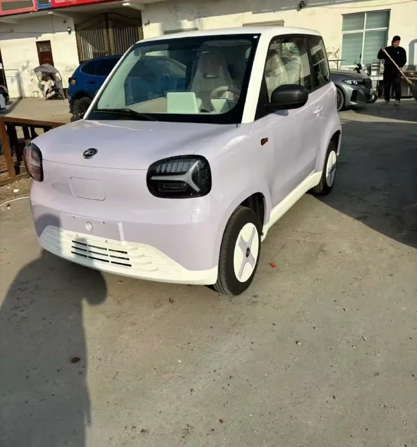 2024 ZD Rainbow BEV 17.3KWH,autocango,china used car exporter,china ev exporter,chinese used car exporter,chinese used ev exporter
