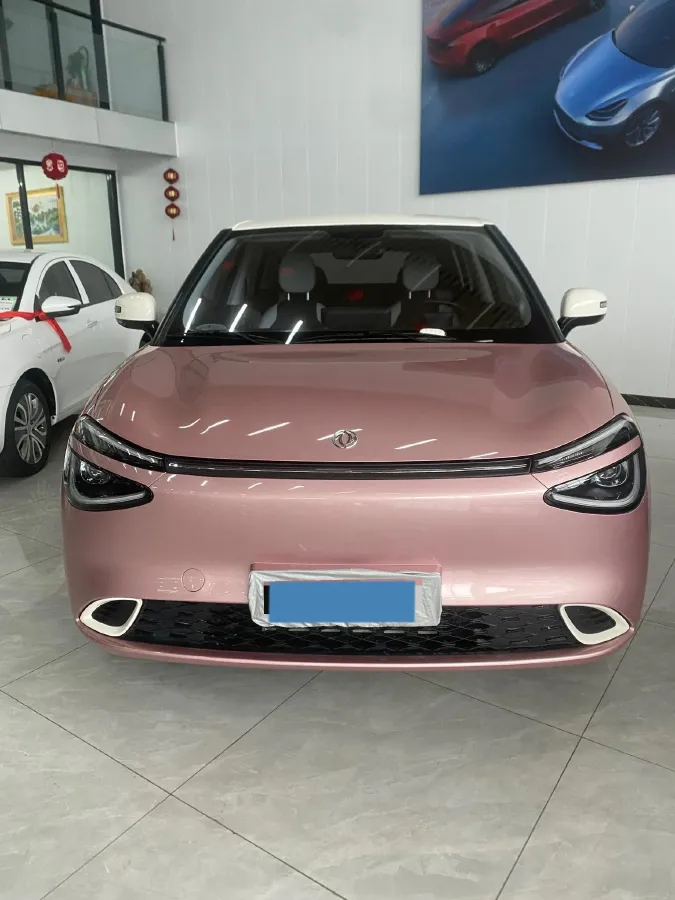 2025 DongFeng Nammi 01 BEV,autocango,china used car exporter,china ev exporter,chinese used car exporter,chinese used ev exporter