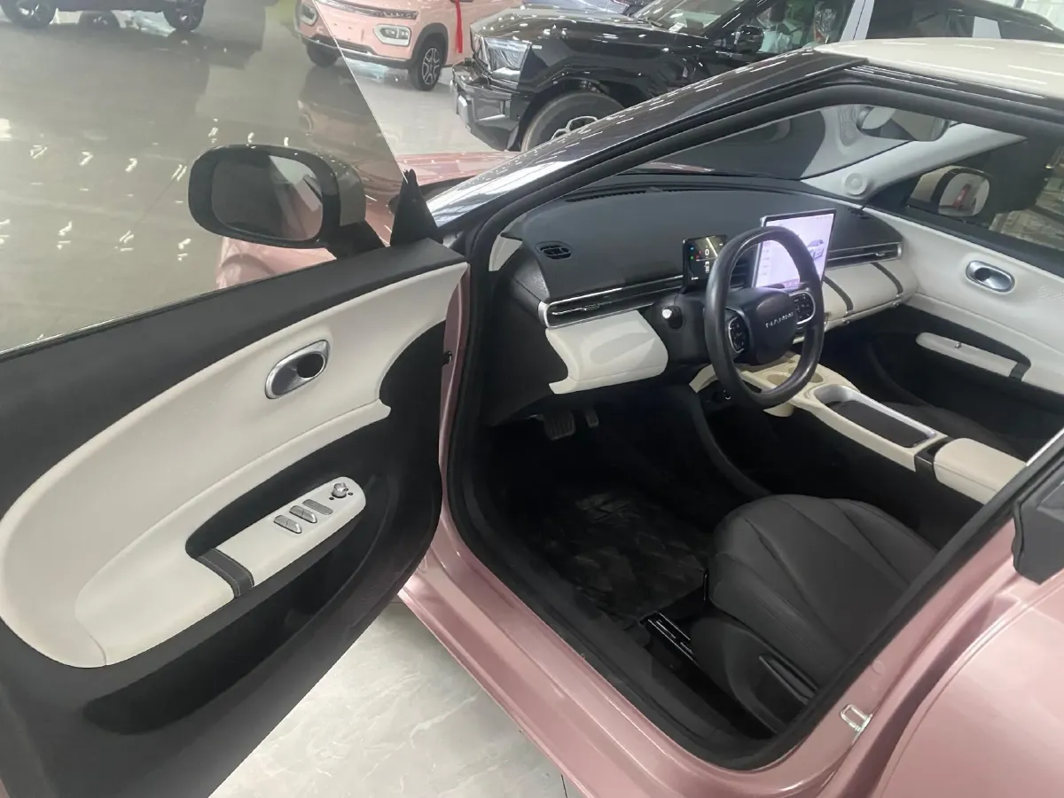 2025 DongFeng Nammi 01 BEV,autocango,china used car exporter,china ev exporter,chinese used car exporter,chinese used ev exporter