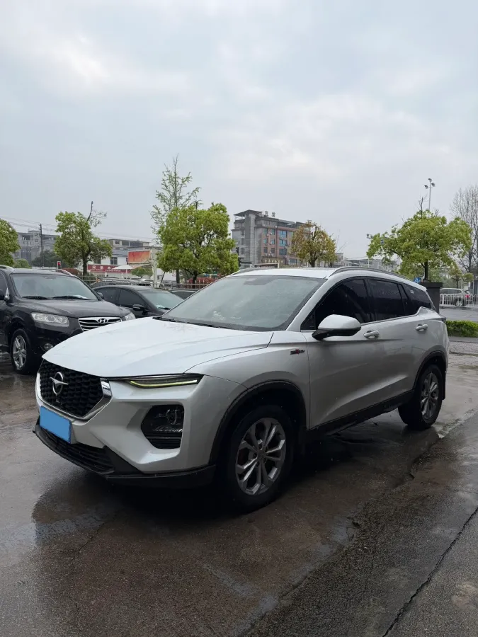 2019 HaiMa 8S 1.6T 195HP L4 6AT,autocango,china used car exporter,china ev exporter,chinese used car exporter,chinese used ev exporter