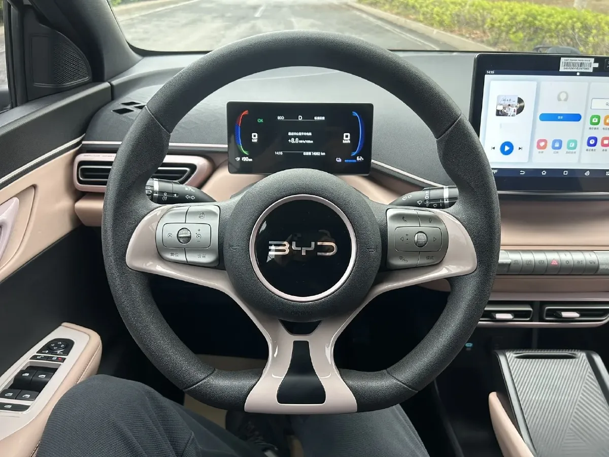 2025 BYD Seagull BEV 30.08KWH,autocango,china used car exporter,china ev exporter,chinese used car exporter,chinese used ev exporter