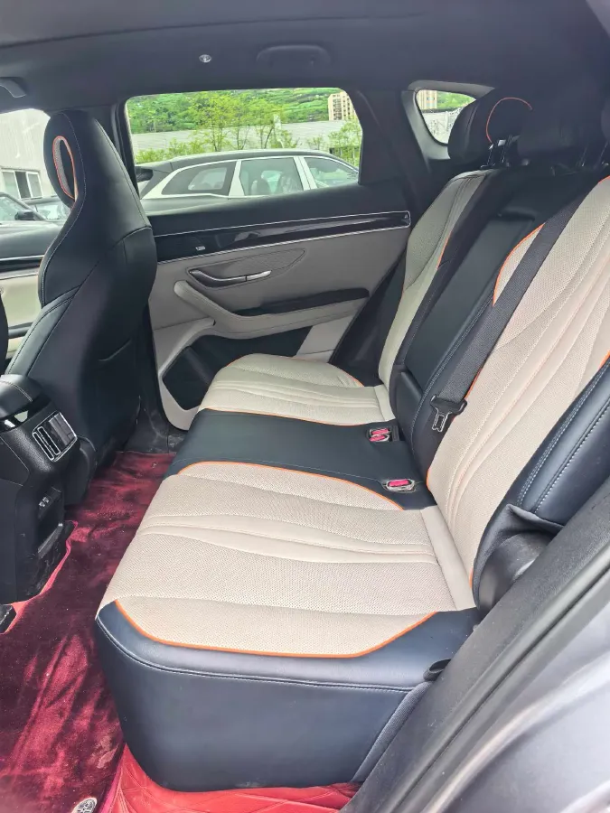 2021 SRM Sea Lion EV BEV 41.86KWH,autocango,china used car exporter,china ev exporter,chinese used car exporter,chinese used ev exporter