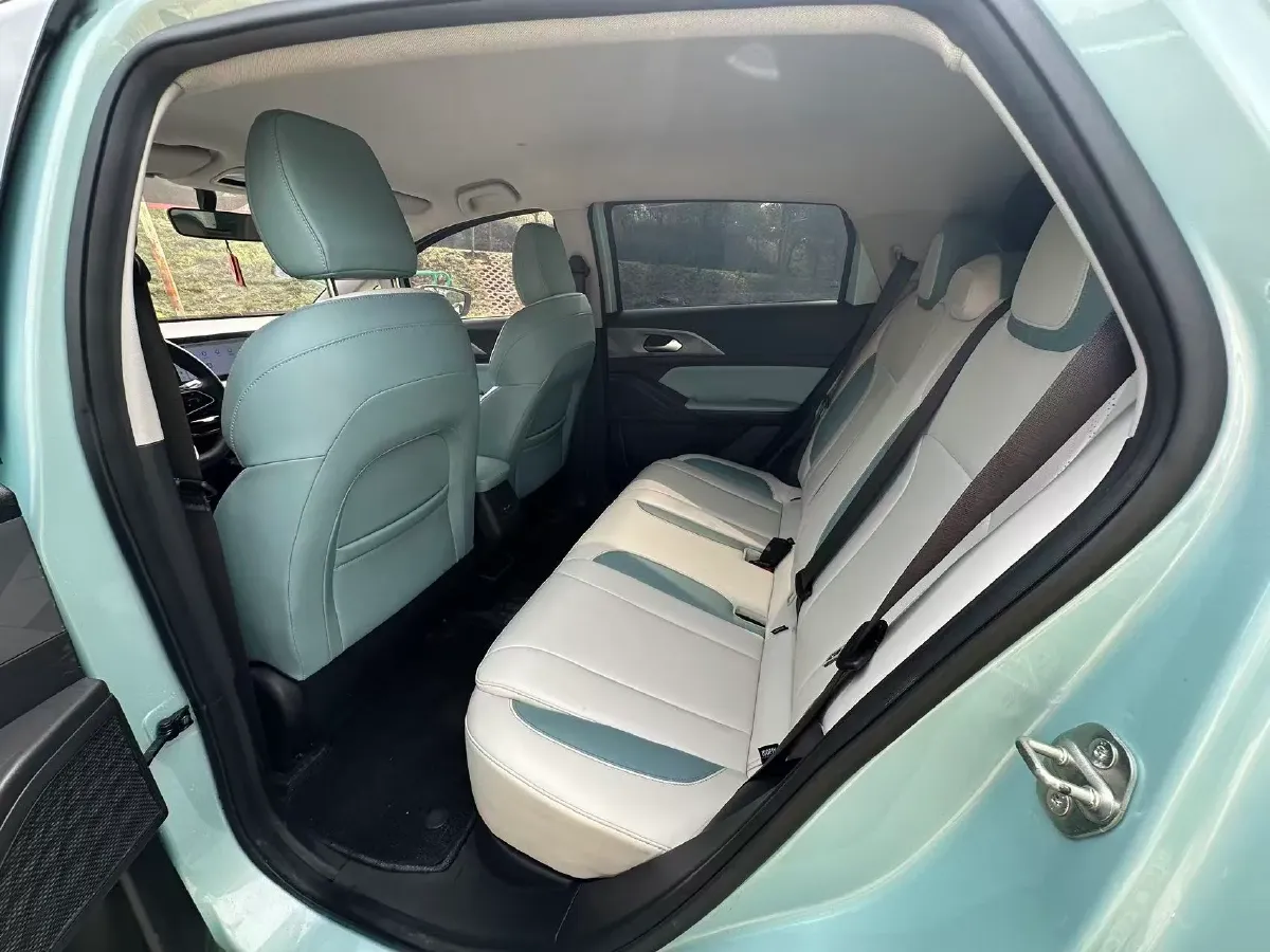 2024 Geometry E BEV 29.67KWH,autocango,china used car exporter,china ev exporter,chinese used car exporter,chinese used ev exporter