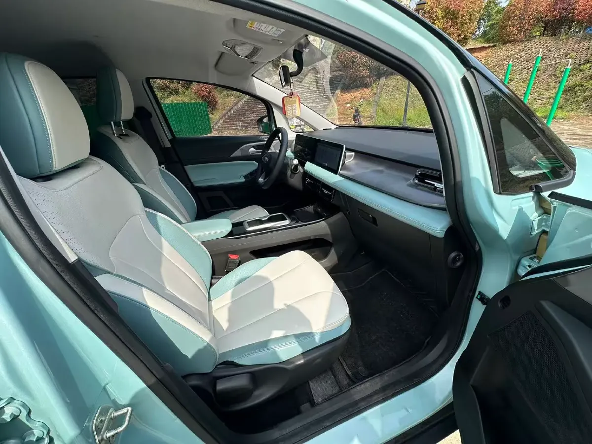 2024 Geometry E BEV 29.67KWH,autocango,china used car exporter,china ev exporter,chinese used car exporter,chinese used ev exporter