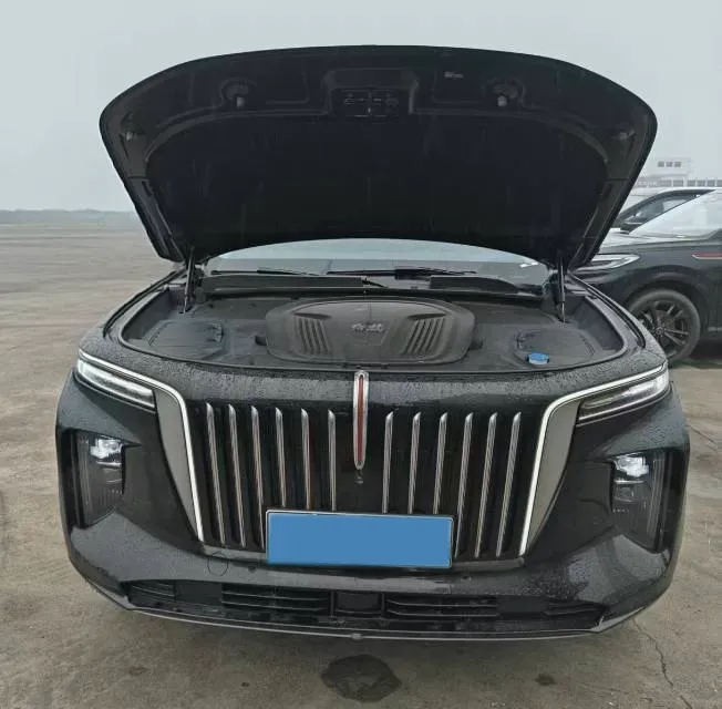 2021 HongQi E-HS9 BEV 99KWH,autocango,china used car exporter,china ev exporter,chinese used car exporter,chinese used ev exporter