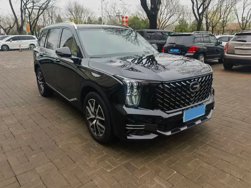 2024 GAC Trumpchi GS8 2.0T 252HP L4 8AT,autocango,china used car exporter,china ev exporter,chinese used car exporter,chinese used ev exporter