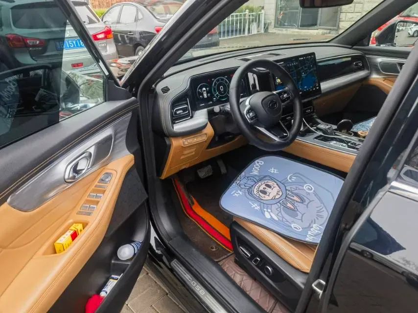 2024 GAC Trumpchi GS8 2.0T 252HP L4 8AT,autocango,china used car exporter,china ev exporter,chinese used car exporter,chinese used ev exporter