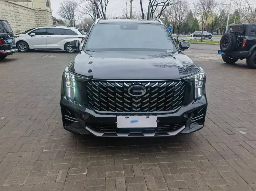 2024 GAC Trumpchi GS8 2.0T 252HP L4 8AT,autocango,china used car exporter,china ev exporter,chinese used car exporter,chinese used ev exporter