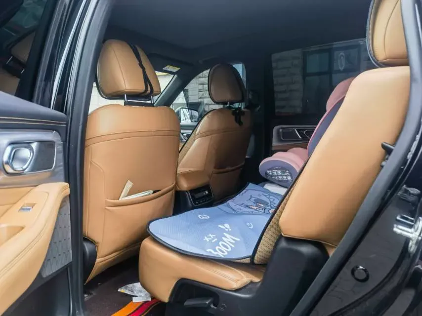 2024 GAC Trumpchi GS8 2.0T 252HP L4 8AT,autocango,china used car exporter,china ev exporter,chinese used car exporter,chinese used ev exporter