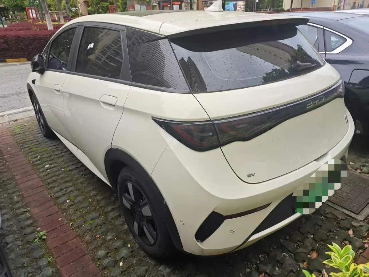 2025 BYD Dolphin BEV 45.12KWH,autocango,china used car exporter,china ev exporter,chinese used car exporter,chinese used ev exporter