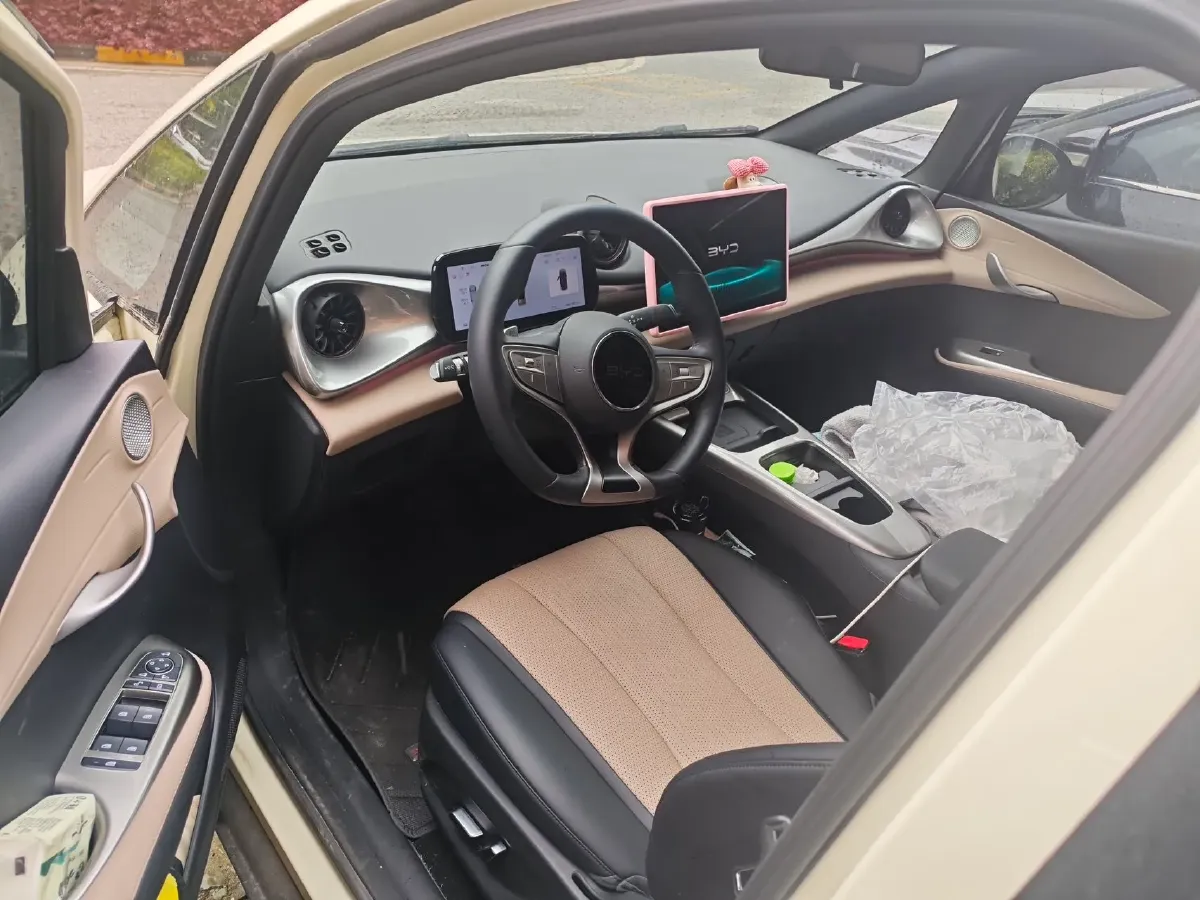 2025 BYD Dolphin BEV 45.12KWH,autocango,china used car exporter,china ev exporter,chinese used car exporter,chinese used ev exporter