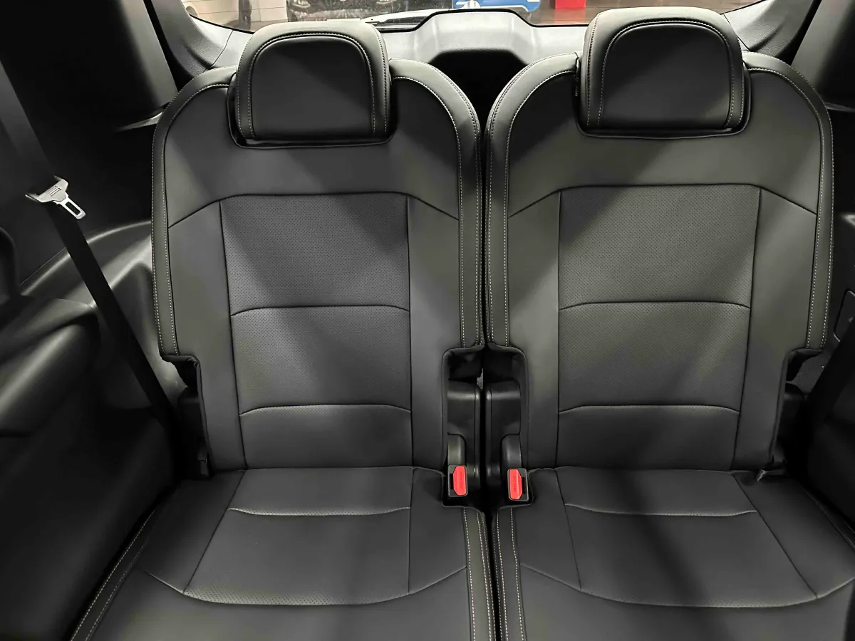 2025 Geely Okavango L 2.0T 218HP L4 7DCT,autocango,china used car exporter,china ev exporter,chinese used car exporter,chinese used ev exporter