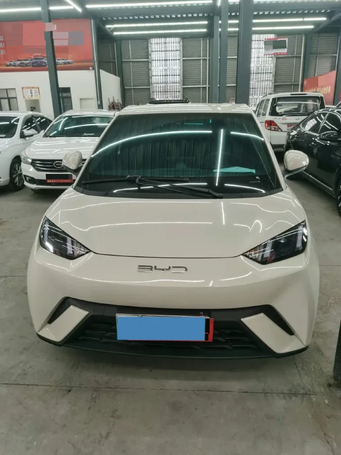 2024 BYD Seagull BEV 30.08KWH,autocango,china used car exporter,china ev exporter,chinese used car exporter,chinese used ev exporter