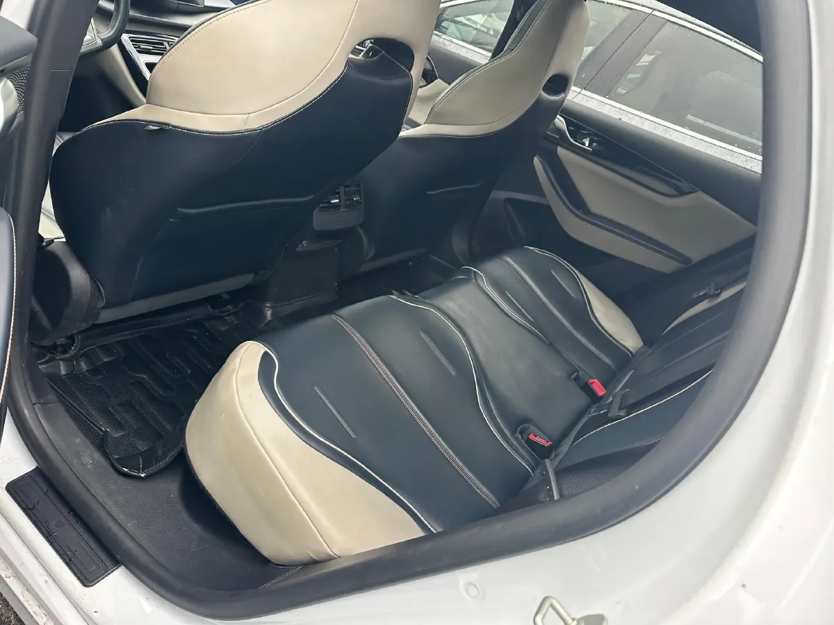 2021 DongFeng FuKang e Elysee BEV 30.7KWH,autocango,china used car exporter,china ev exporter,chinese used car exporter,chinese used ev exporter