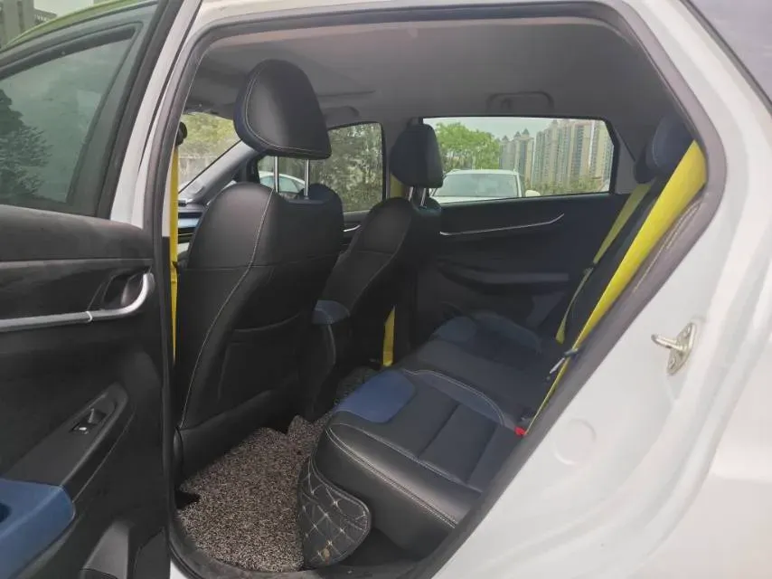 2021 Geometry EX3 BEV 37.23KWH,autocango,china used car exporter,china ev exporter,chinese used car exporter,chinese used ev exporter