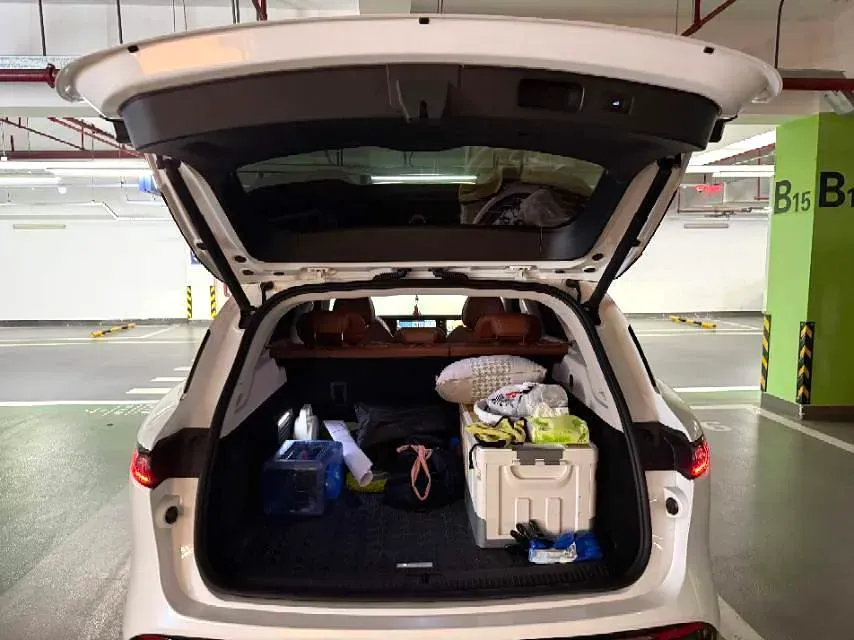 2024 Voyah FREE 1.5T 150HP L4 REEV 39.2KWH,autocango,china used car exporter,china ev exporter,chinese used car exporter,chinese used ev exporter