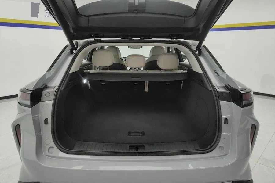 2024 Exceed RX C-DM 1.5T 156HP L4 3DHT PHEV 19.43KWH,autocango,china used car exporter,china ev exporter,chinese used car exporter,chinese used ev exporter