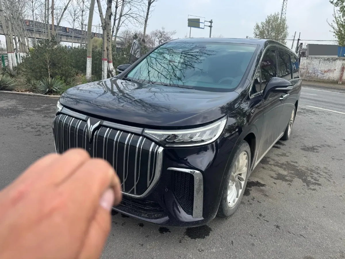2021 Voyah FREE BEV 88KWH,autocango,china used car exporter,china ev exporter,chinese used car exporter,chinese used ev exporter