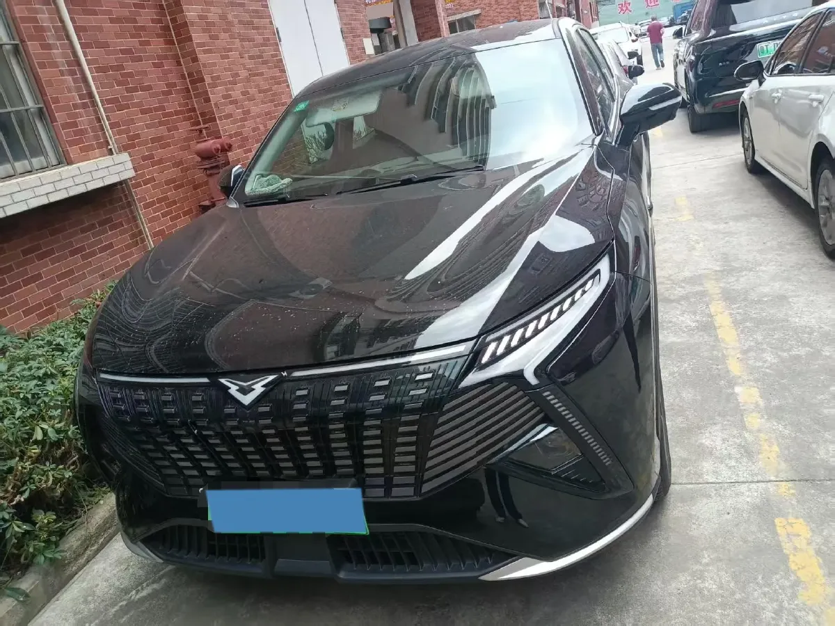 2024 BYD QinL 1.5L 101HP L4 E-CVT PHEV 15.87KWH,autocango,china used car exporter,china ev exporter,chinese used car exporter,chinese used ev exporter
