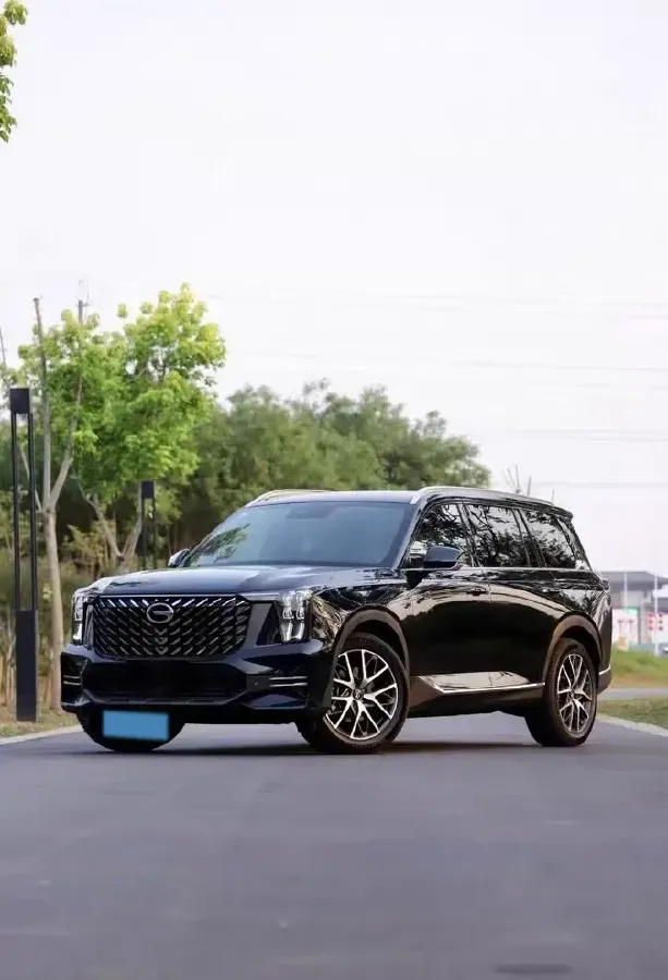 2025 GAC Trumpchi GS8 2.0T 252HP L4 8AT,autocango,china used car exporter,china ev exporter,chinese used car exporter,chinese used ev exporter