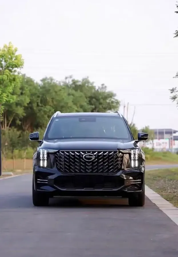 2025 GAC Trumpchi GS8 2.0T 252HP L4 8AT,autocango,china used car exporter,china ev exporter,chinese used car exporter,chinese used ev exporter